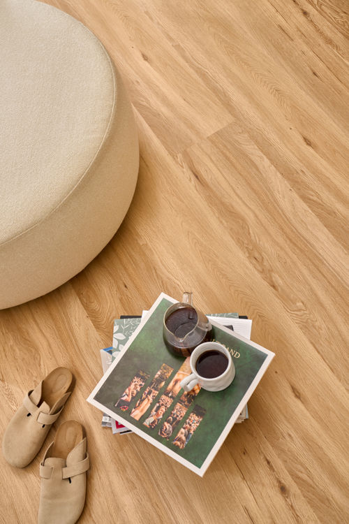 Novego Premium Colombia